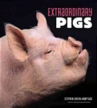 Extraordinary Pigs (Hardcover)