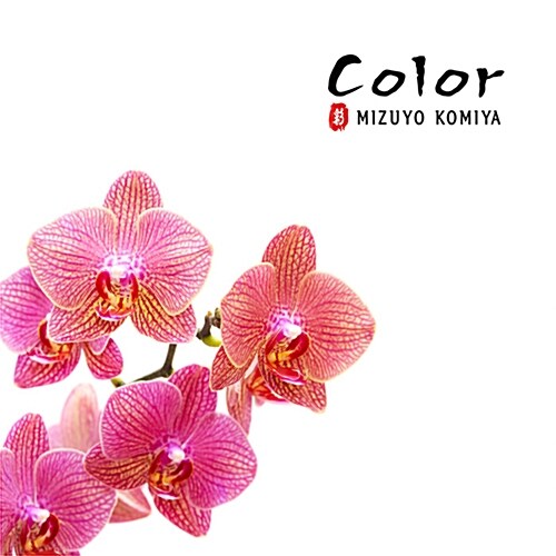 Mizuyo Komiya - Color