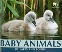 Baby Animals of Lakes and Ponds (Library Binding)