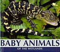 Baby Animals of the Wetlands (Library Binding)