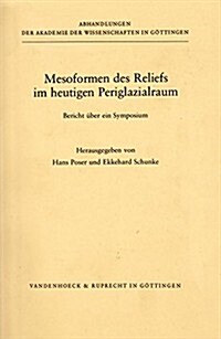 Mesoformen Des Reliefs Im Heutigen Periglazialraum: Bericht Uber Ein Symposium (Paperback)