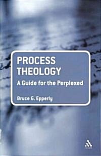 Process Theology: A Guide for the Perplexed (Paperback)