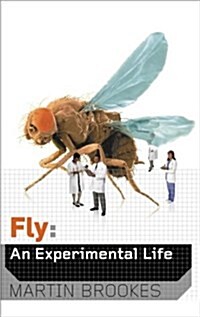 Fly (Hardcover)