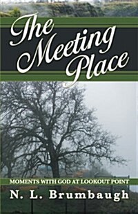 The Meeting Place: Moments with God at Lookout Point (Paperback)