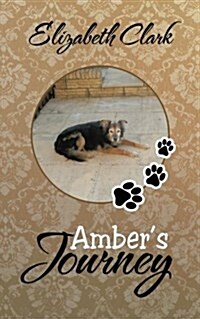 Ambers Journey (Paperback)
