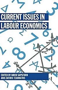 Current Issues in Labour Economics (Paperback)