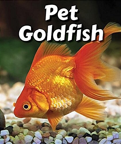 Pet Goldfish (Paperback)