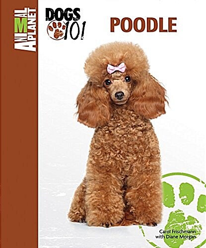 Poodle (Hardcover)