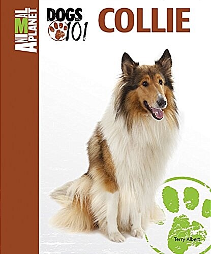 Collie (Hardcover)