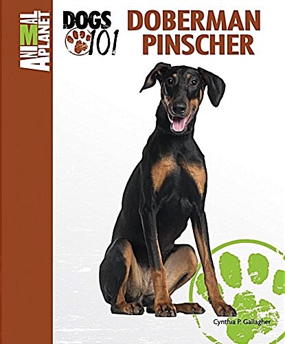 Doberman Pinscher (Hardcover)