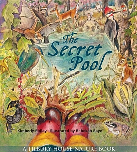 The Secret Pool (Paperback, First Time in P)