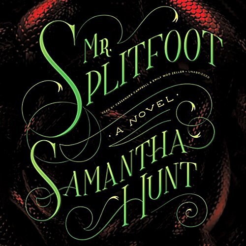 Mr. Splitfoot Lib/E (Audio CD)