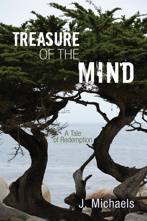 Treasure of the Mind (Hardcover)