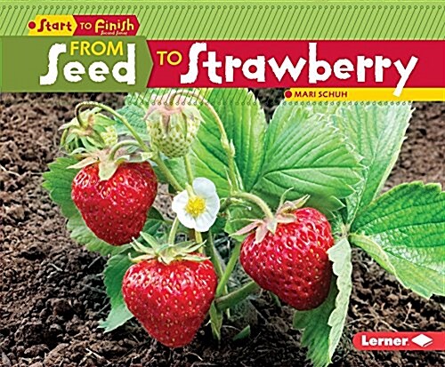 From Seed to Strawberry (Library Binding)