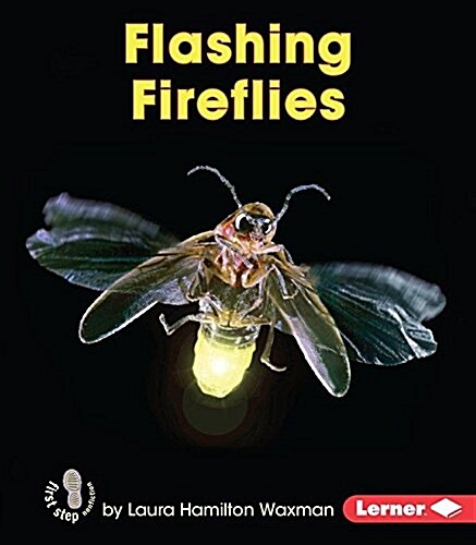 Flashing Fireflies (Paperback)