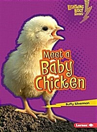 Meet a Baby Chicken (Paperback)