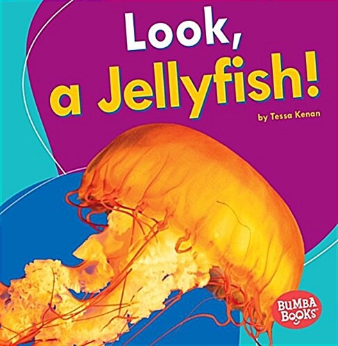 Look, a Jellyfish! (Paperback)