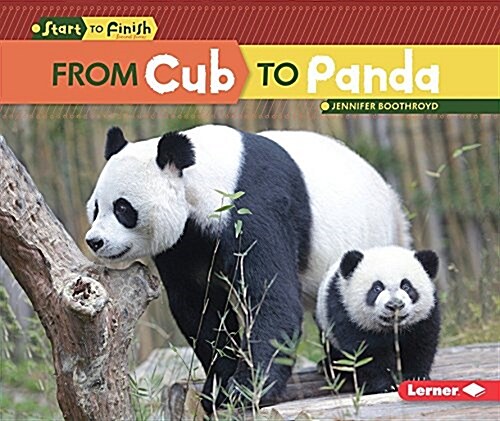 From Cub to Panda (Paperback)