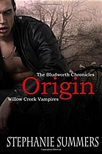 The Bludworth Chronicles: Origin (Paperback)