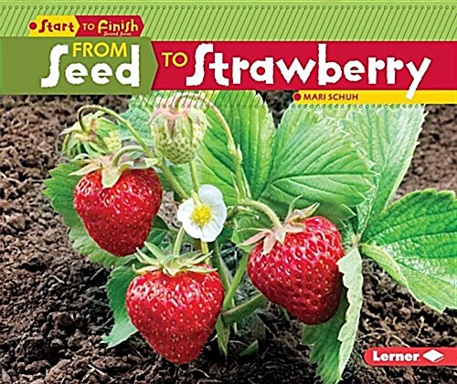 From Seed to Strawberry (Paperback)