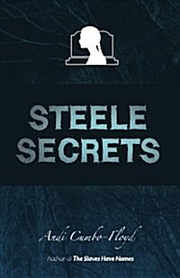 Steele Secrets (Paperback)