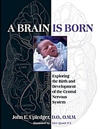 A Brain Is Born: Exploring the Birth and Development of the Central Nervous System (Paperback)