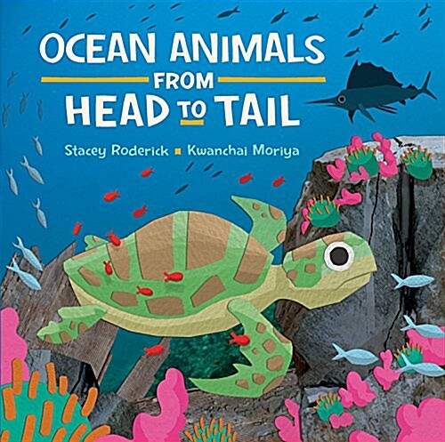 Ocean Animals from Head to Tail (Hardcover)