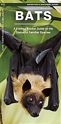 Bats: A Folding Pocket Guide to Familiar & Unusual Species Worldwide (Paperback)