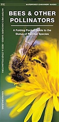 Bees & Other Pollinators: A Folding Pocket Guide to Familiar Species (Paperback)