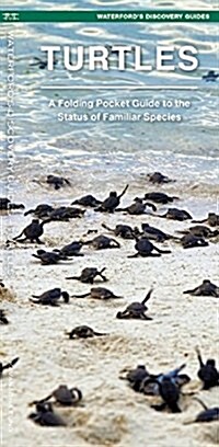 Turtles: A Folding Pocket Guide to Familiar & Unique Species Worldwide (Paperback)