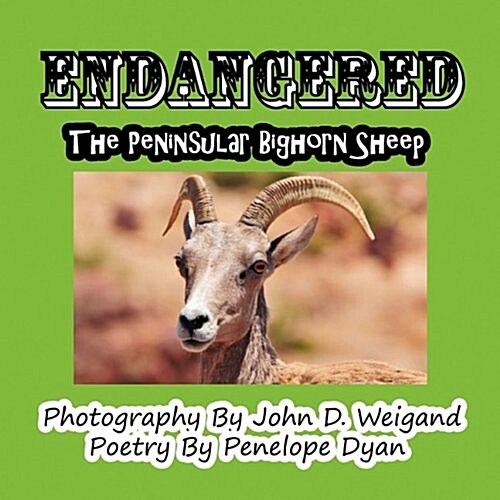 Endangered--The Peninsular Bighorn Sheep (Paperback)