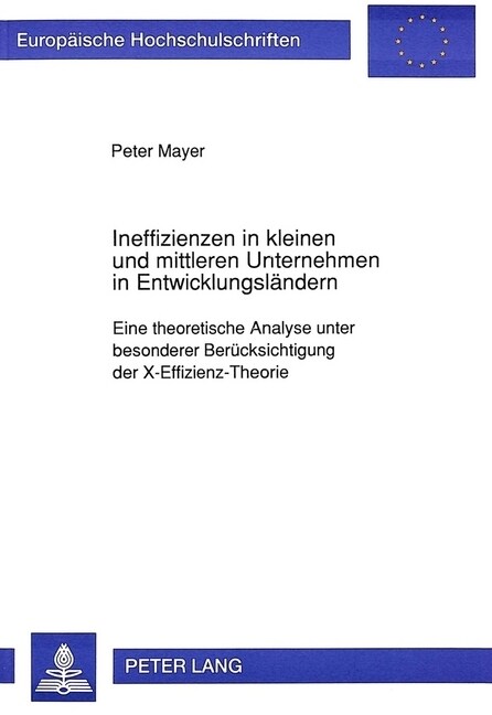 Ineffizienzen in Kleinen Und Mittleren Unternehmen in Entwicklungslaendern: Eine Theoretische Analyse Unter Besonderer Beruecksichtigung Der X-Effizie (Paperback)