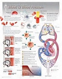 Blood & Blood Pressure Wall Chart: 8160 (Other)