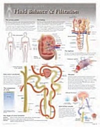 Fluid Balance & Filtration Wall Chart: 8260 (Other)