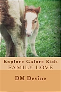 Family Love (Paperback, Large Print)