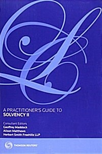 A Practitioners Guide to Solvency II (Paperback)