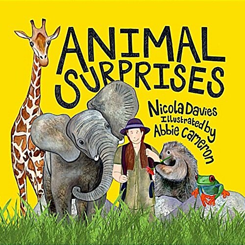 Animal Surprises (Hardcover)