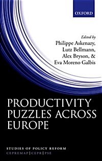 Productivity Puzzles Across Europe (Hardcover)