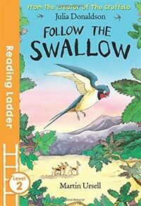 Follow the Swallow (Paperback)