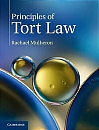 Principles of Tort Law (Paperback)