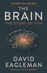 The Brain : The Story of You (Paperback, Main)