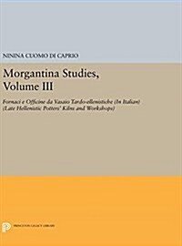 Morgantina Studies, Volume III: Fornaci E Officine Da Vasaio Tardo-Ellenistiche. (in Italian) (Late Hellenistic Potters Kilns and Workshops) (Hardcover)