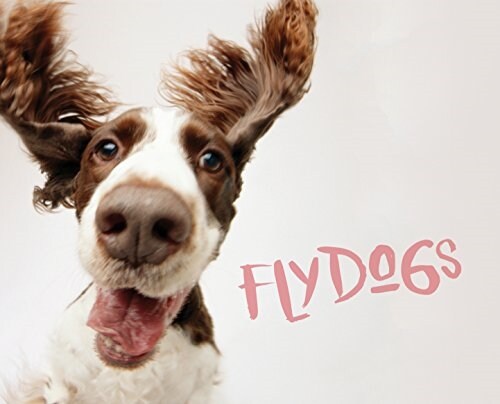 Flydogs (Hardcover)