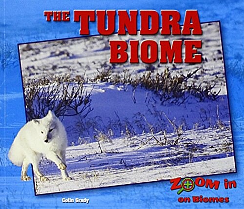 The Tundra Biome (Paperback)