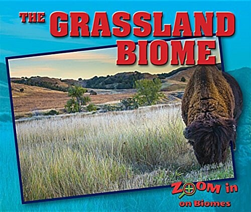 The Grassland Biome (Library Binding)
