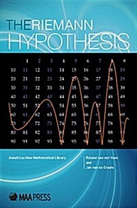 The Riemann Hypothesis: A Million Dollar Problem (Paperback)