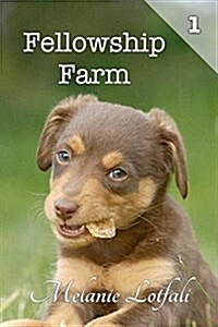 Fellowship Farm 1: Books 1-3 (Paperback, Edition 1.3)