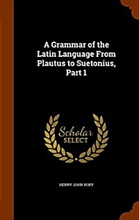 A Grammar of the Latin Language from Plautus to Suetonius, Part 1 (Hardcover)