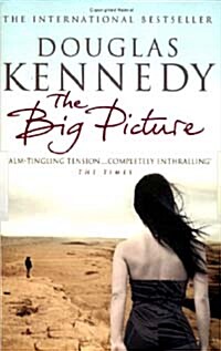 The Big Picture (Paperback)