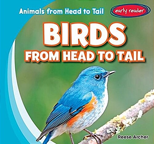 Birds from Head to Tail (Library Binding)